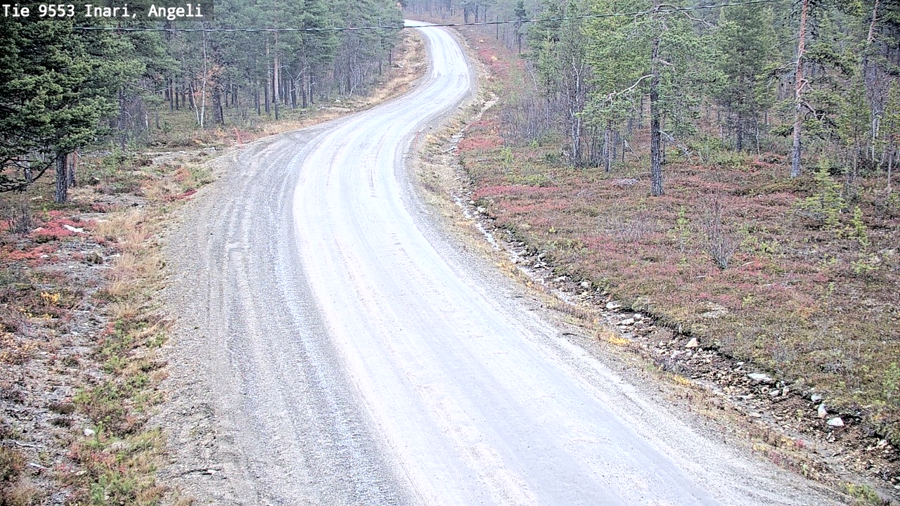 Kelikamerat Kuva Tie 9553 Inari, Angeli, Lintupuolivaara, Inari, Lappi