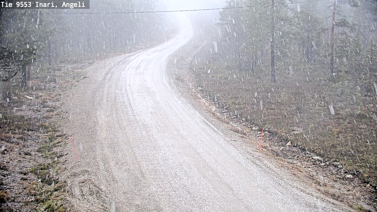 Kelikamerat Kuva Tie 9553 Inari, Angeli, Lintupuolivaara, Inari, Lappi