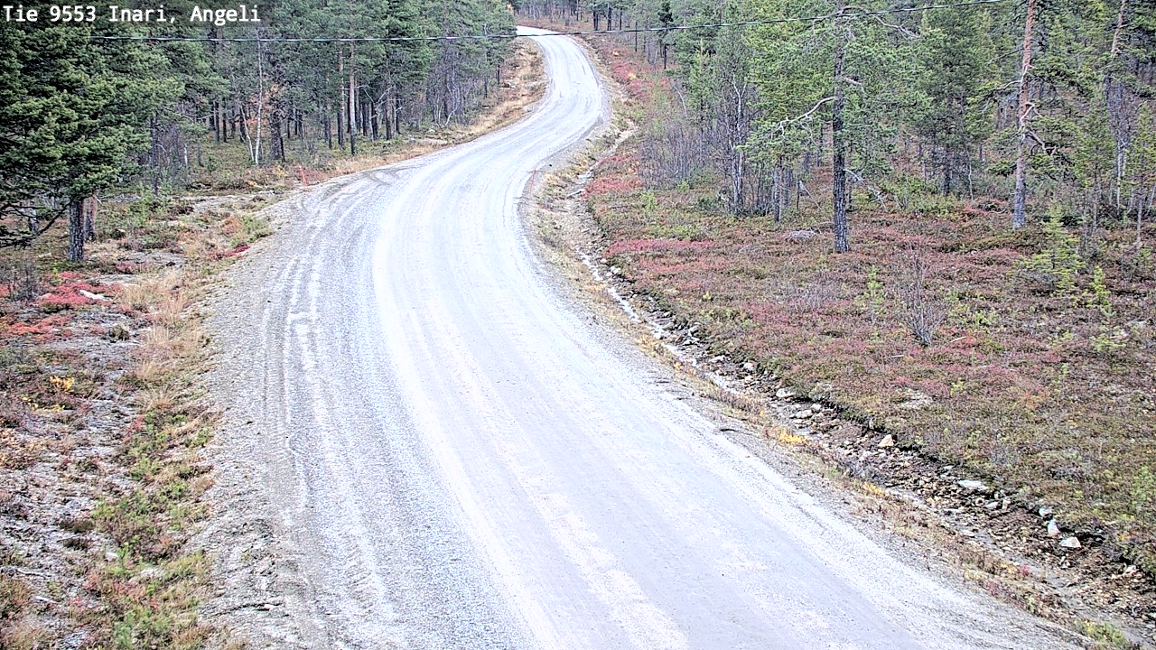 Kelikamerat Kuva Tie 9553 Inari, Angeli, Lintupuolivaara, Inari, Lappi