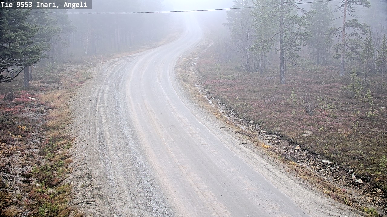 Weather Camera Image Road 9553 Inari, Angeli, Lintupuolivaara, Inari, Lappi