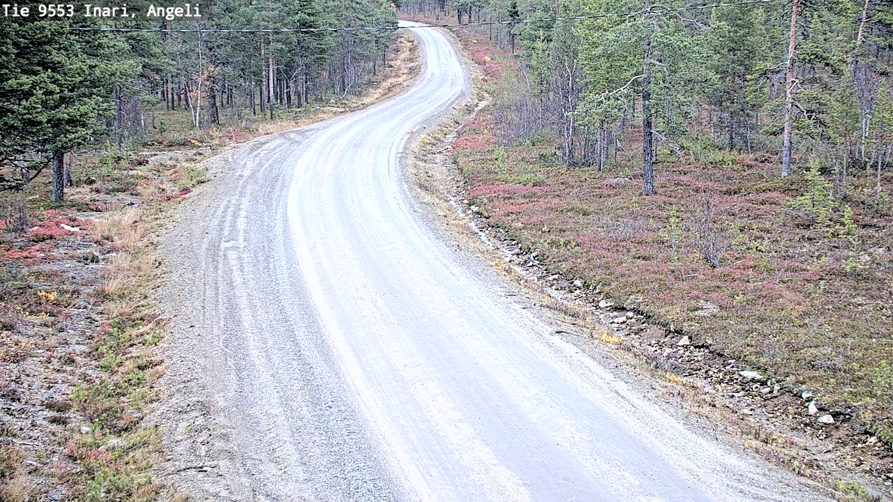 Kelikamerat Kuva Tie 9553 Inari, Angeli, Lintupuolivaara, Inari, Lappi