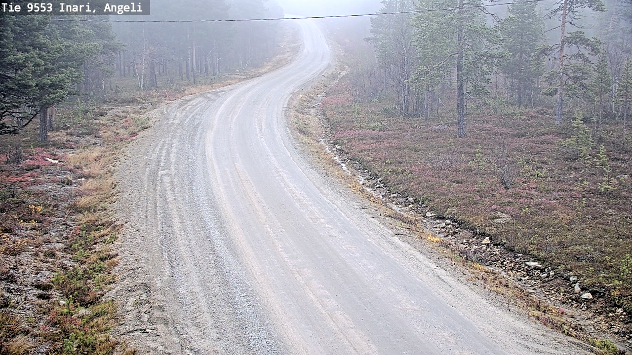 Weather Camera Image Road 9553 Inari, Angeli, Lintupuolivaara, Inari, Lappi