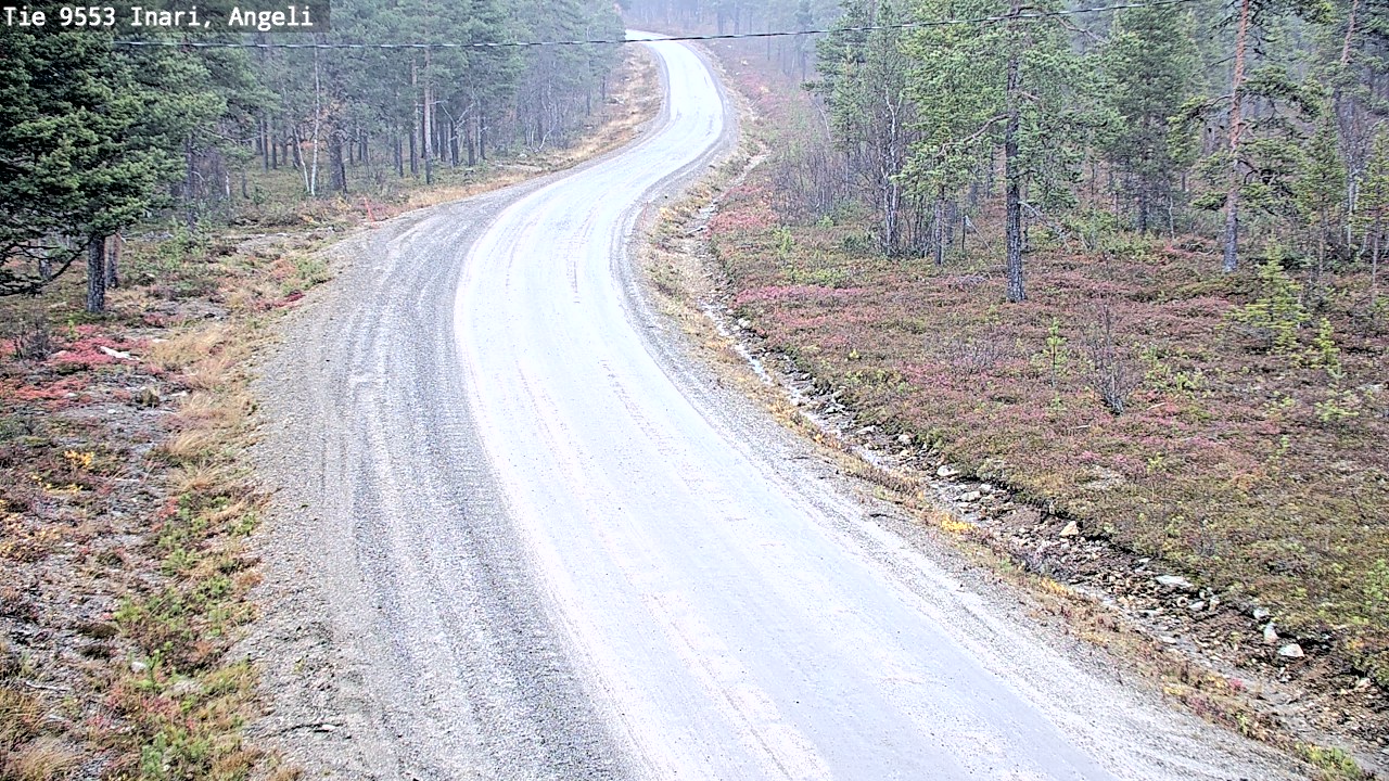 Weather Camera Image Road 9553 Inari, Angeli, Lintupuolivaara, Inari, Lappi