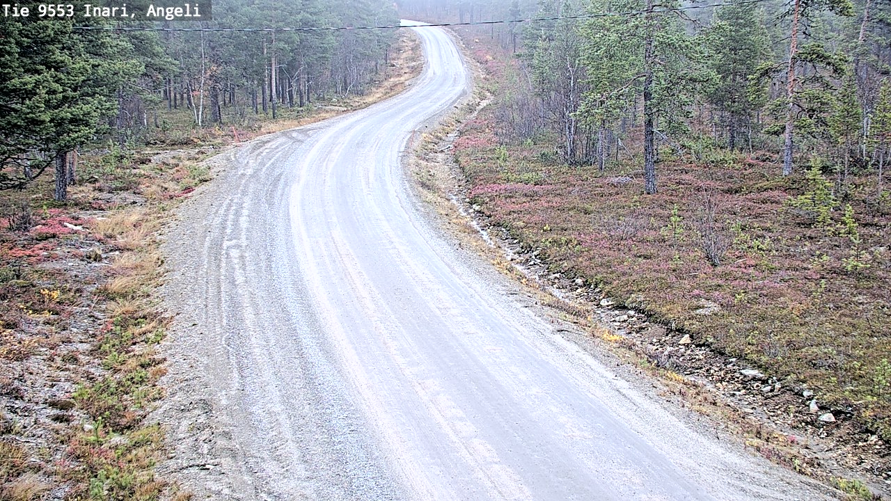 Weather Camera Image Road 9553 Inari, Angeli, Lintupuolivaara, Inari, Lappi