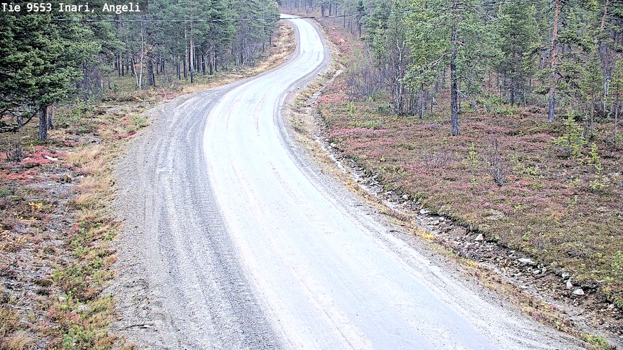 Weather Camera Image Road 9553 Inari, Angeli, Lintupuolivaara, Inari, Lappi