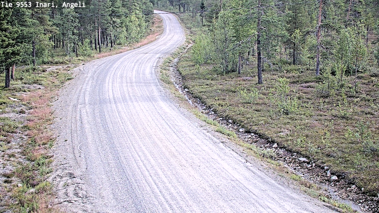 Weather Camera Image Road 9553 Inari, Angeli, Lintupuolivaara, Inari, Lappi