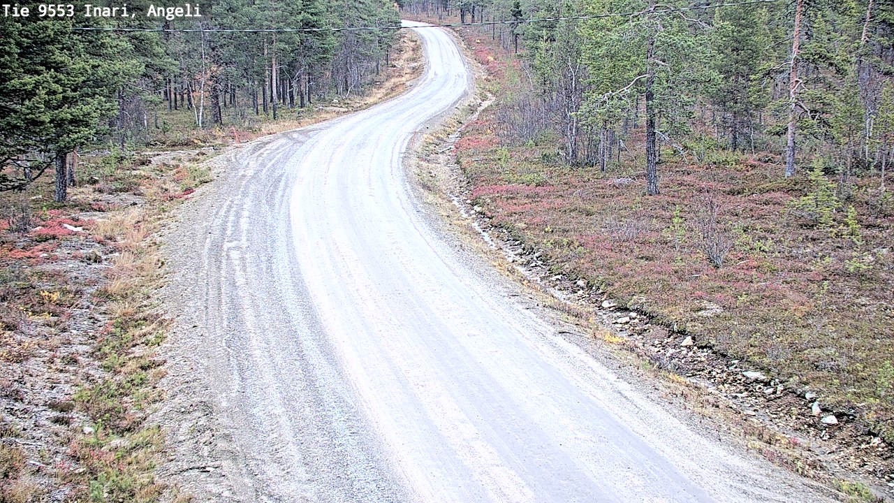 Kelikamerat Kuva Tie 9553 Inari, Angeli, Lintupuolivaara, Inari, Lappi
