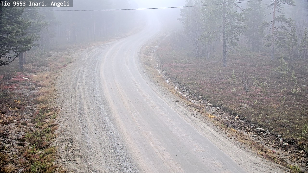 Weather Camera Image Road 9553 Inari, Angeli, Lintupuolivaara, Inari, Lappi