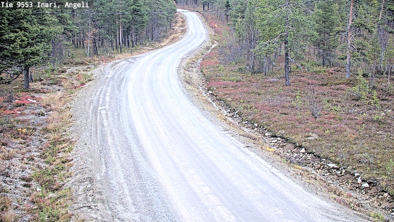 Kelikamerat Kuva Tie 9553 Inari, Angeli, Lintupuolivaara, Inari, Lappi