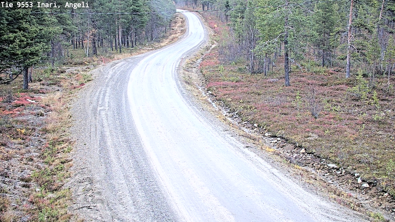Kelikamerat Kuva Tie 9553 Inari, Angeli, Lintupuolivaara, Inari, Lappi