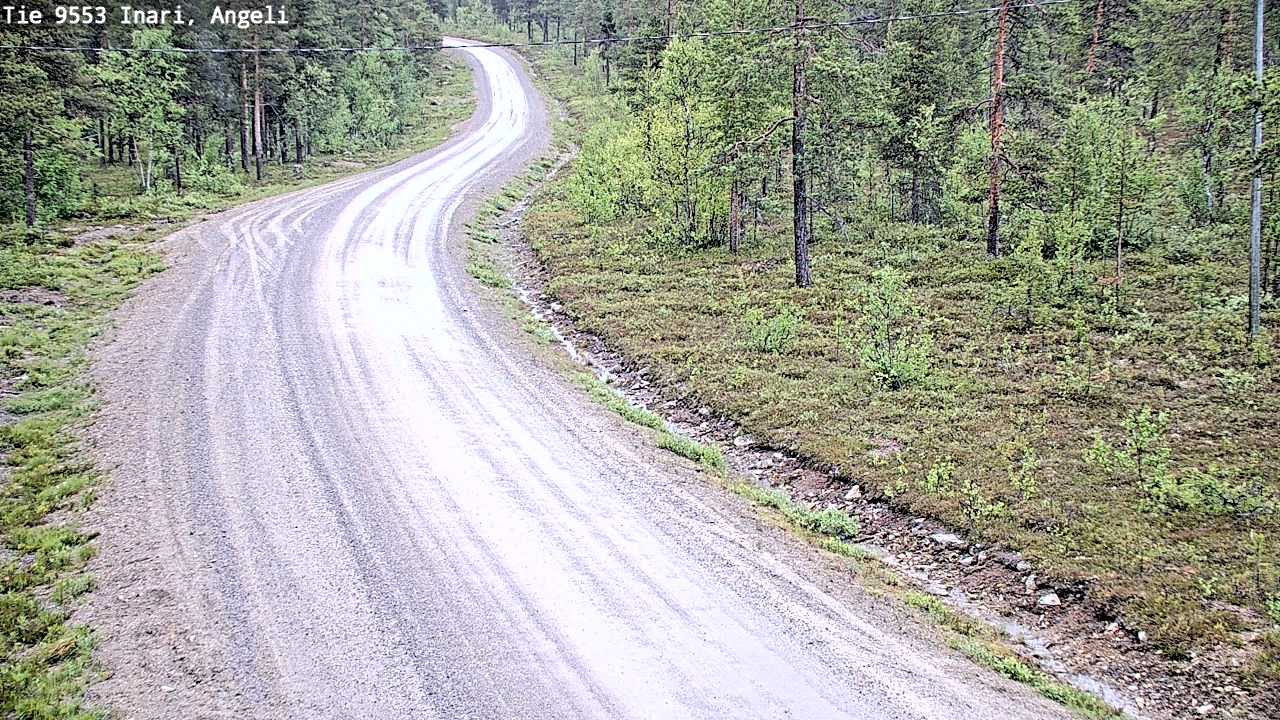 Weather Camera Image Road 9553 Inari, Angeli, Lintupuolivaara, Inari, Lappi