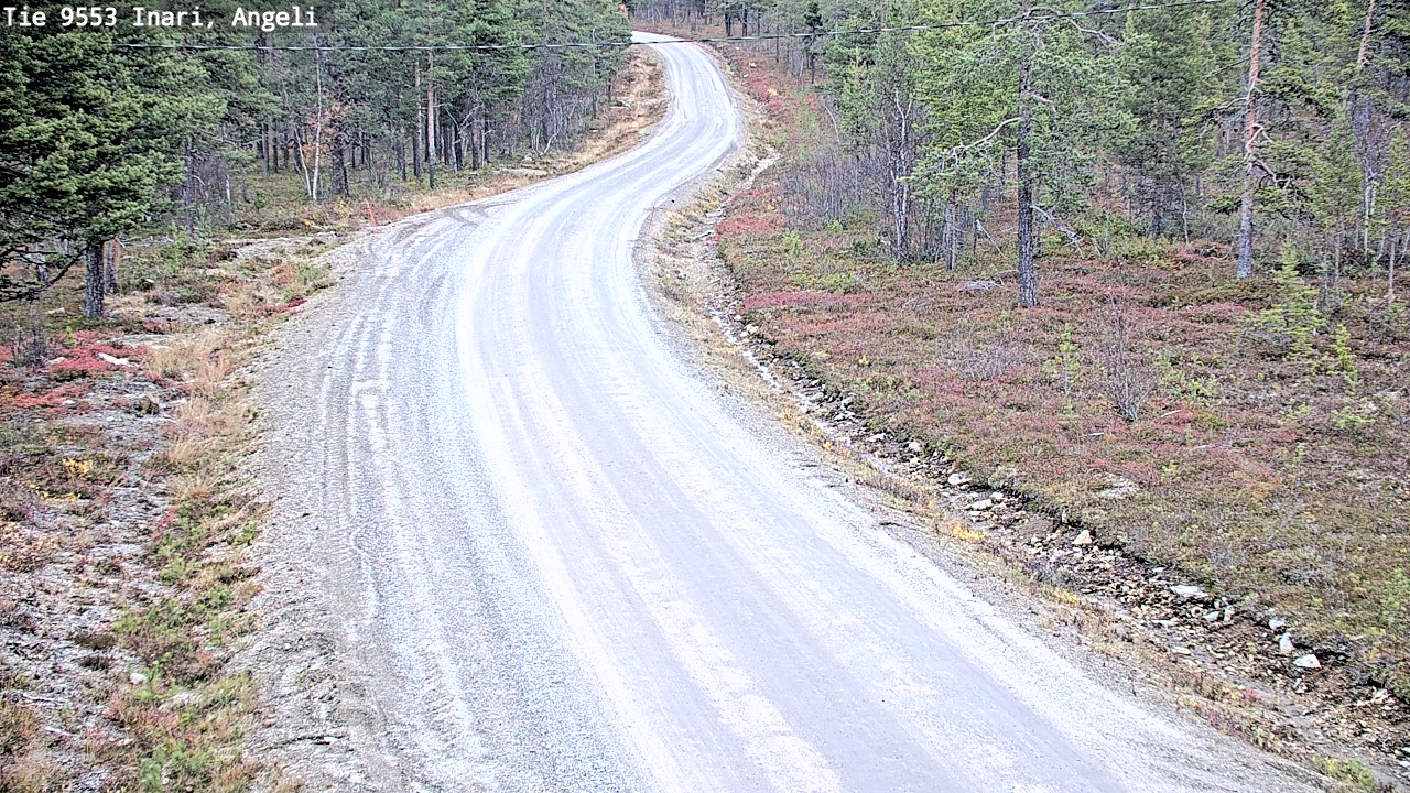 Kelikamerat Kuva Tie 9553 Inari, Angeli, Lintupuolivaara, Inari, Lappi