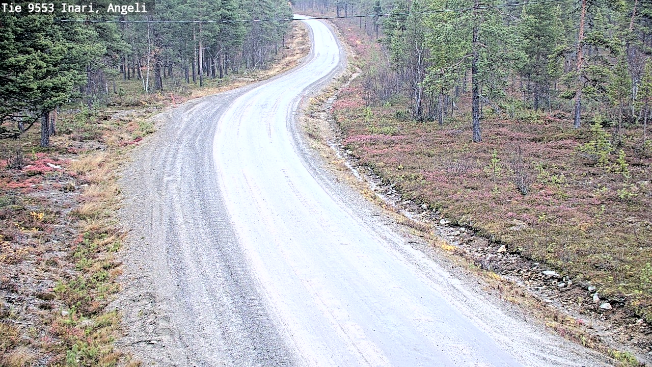 Weather Camera Image Road 9553 Inari, Angeli, Lintupuolivaara, Inari, Lappi