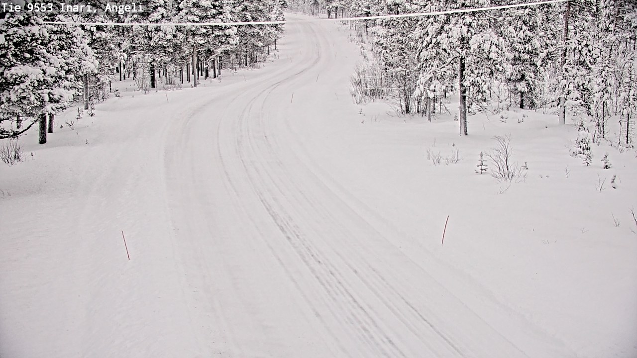 Weather Camera Image Road 9553 Inari, Angeli, Lintupuolivaara, Inari, Lappi
