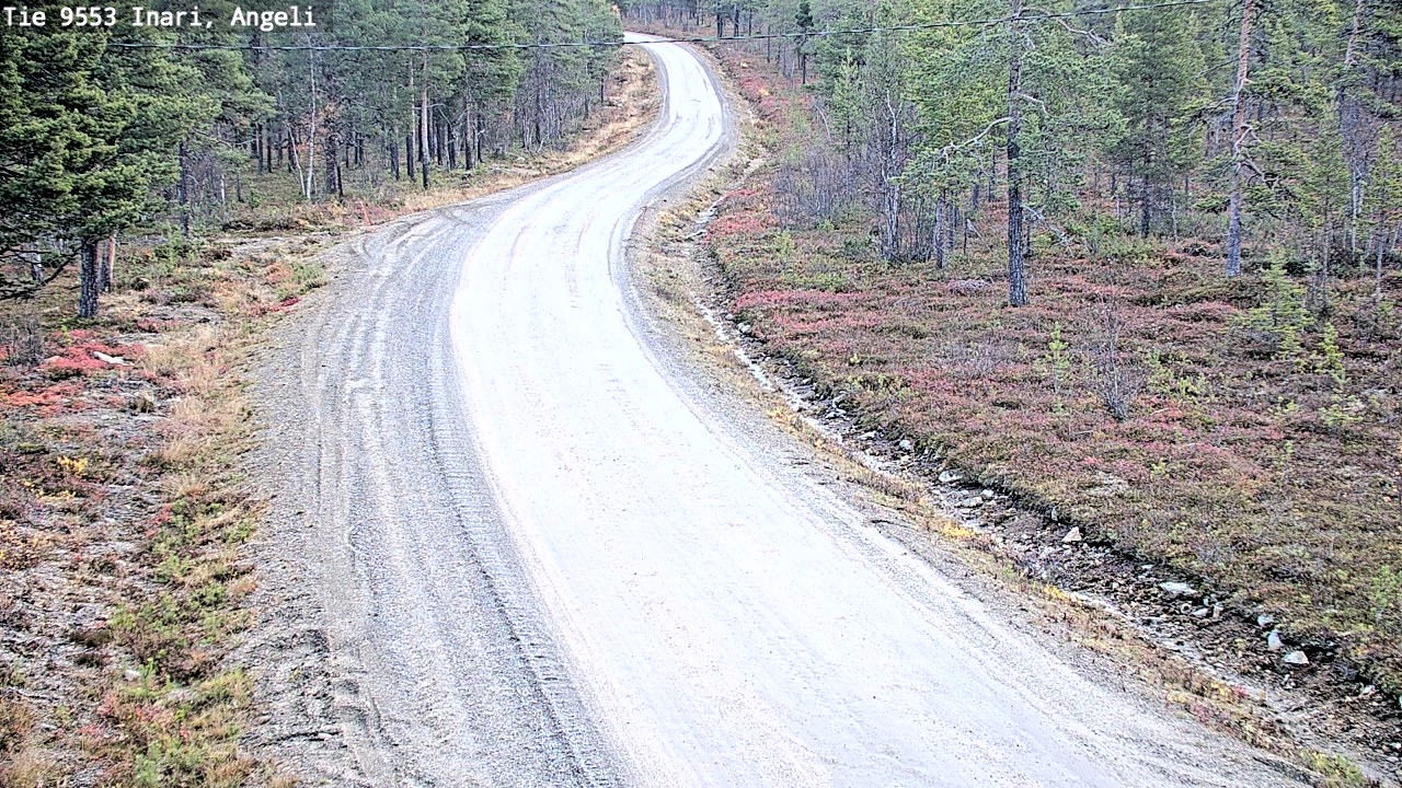 Kelikamerat Kuva Tie 9553 Inari, Angeli, Lintupuolivaara, Inari, Lappi