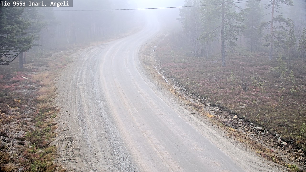 Weather Camera Image Road 9553 Inari, Angeli, Lintupuolivaara, Inari, Lappi