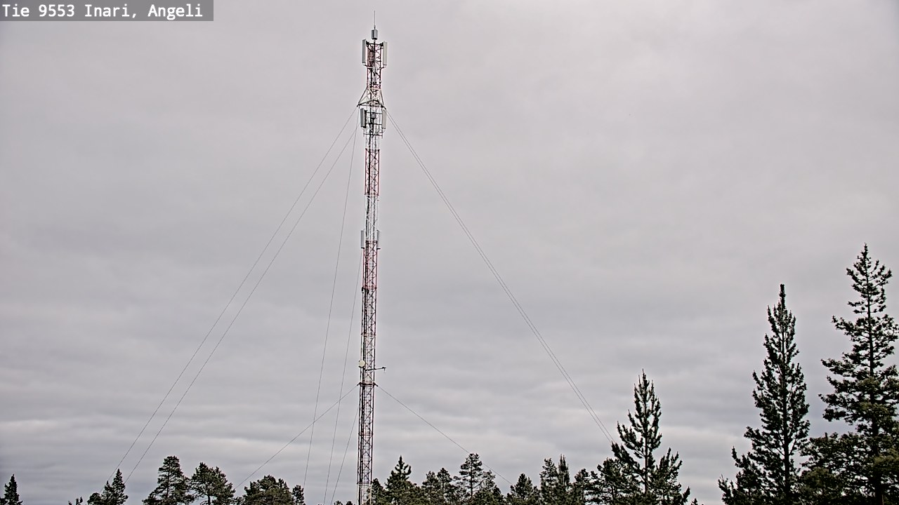Kelikamerat Kuva Tie 9553 Inari, Angeli, Lintupuolivaara, Inari, Lappi