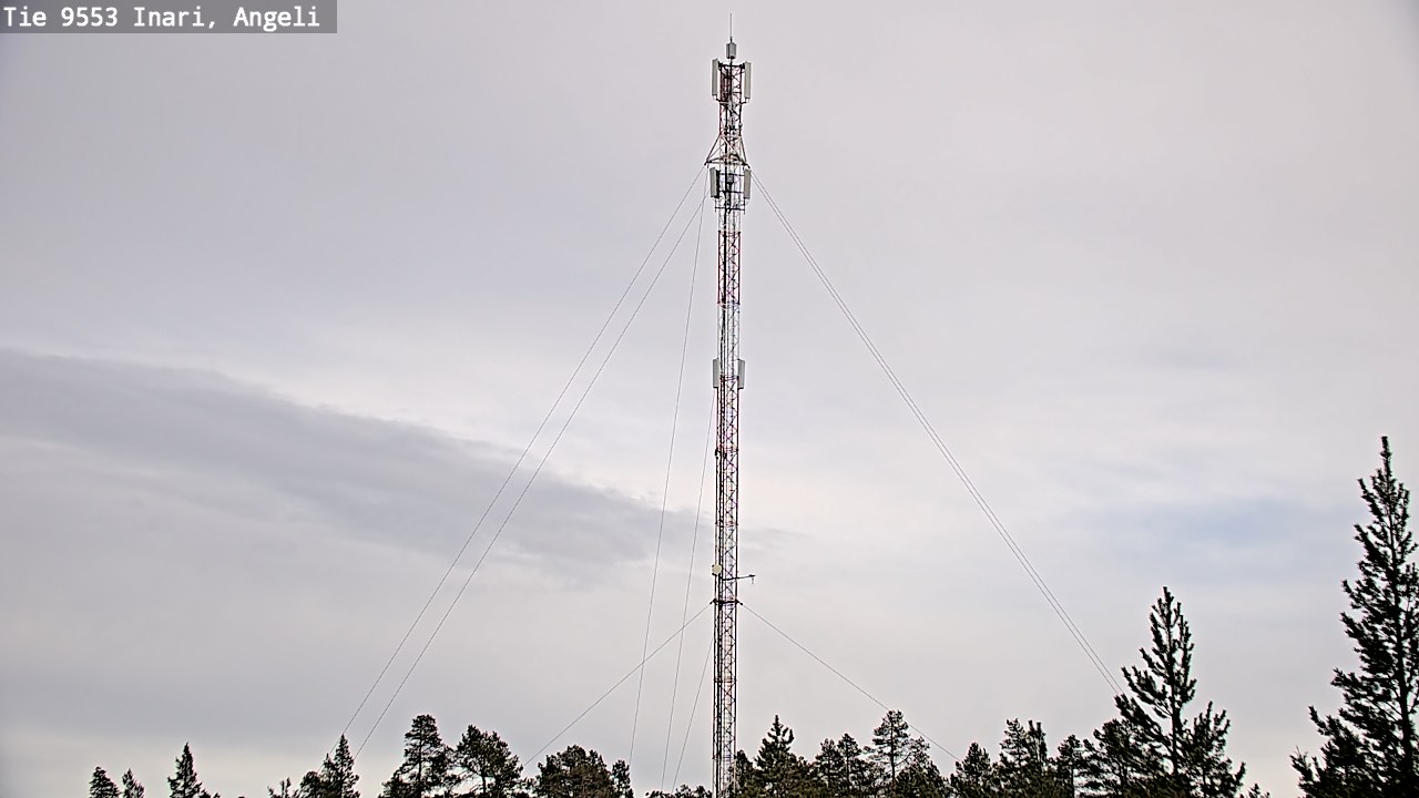 Weather Camera Image Road 9553 Inari, Angeli, Lintupuolivaara, Inari, Lappi