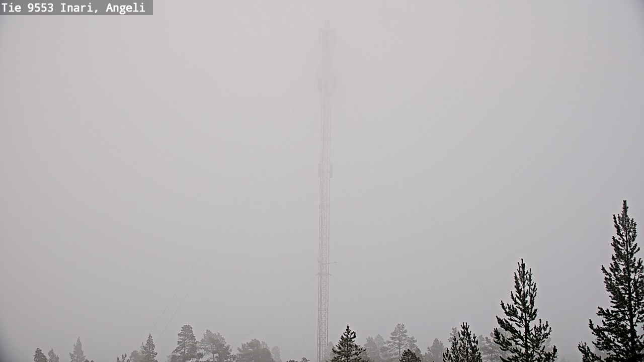 Weather Camera Image Road 9553 Inari, Angeli, Lintupuolivaara, Inari, Lappi