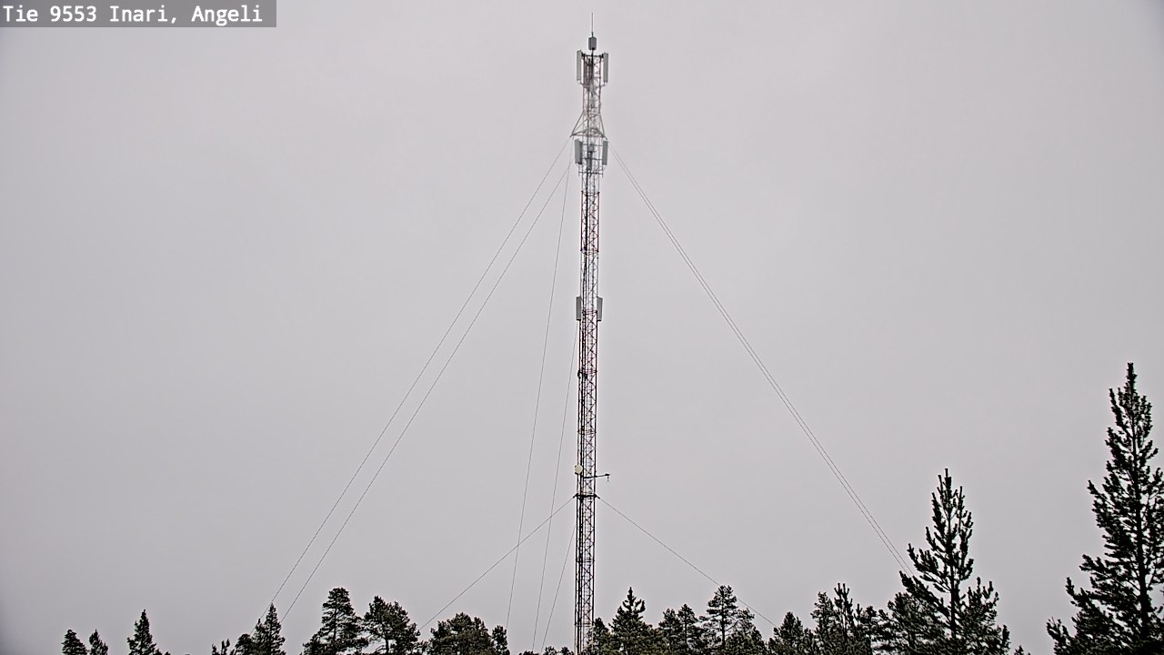 Weather Camera Image Road 9553 Inari, Angeli, Lintupuolivaara, Inari, Lappi