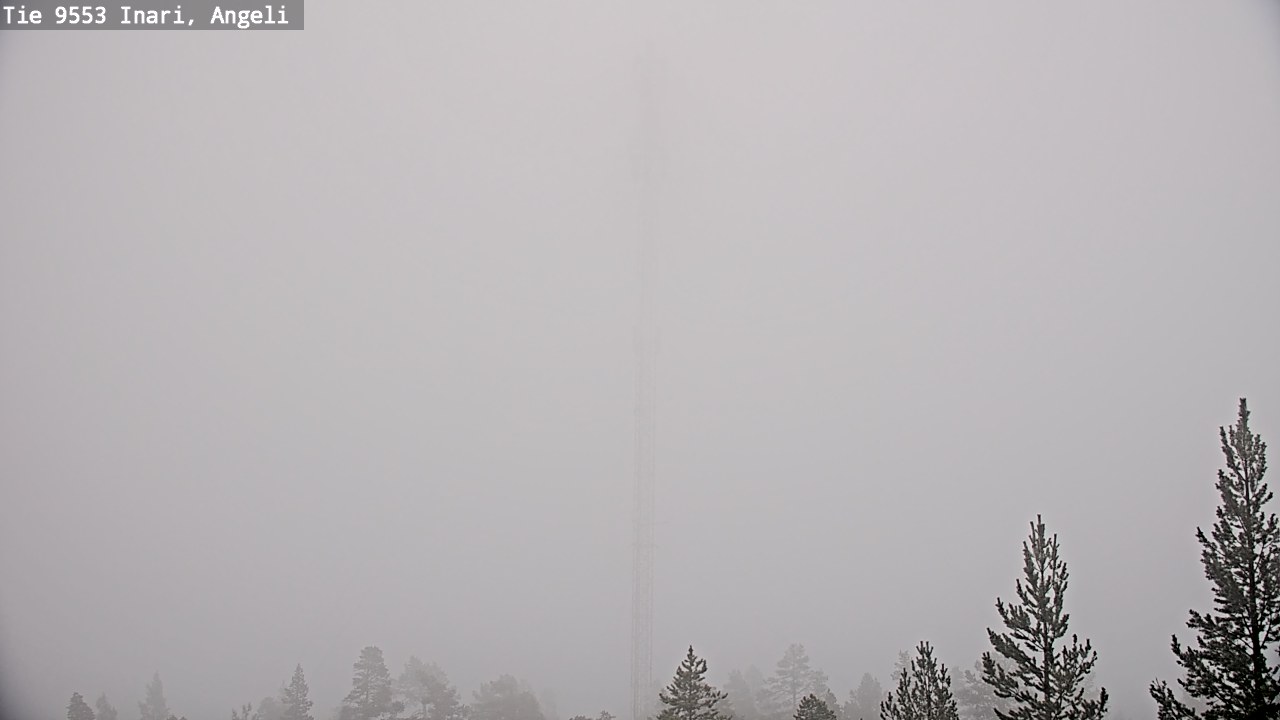 Weather Camera Image Road 9553 Inari, Angeli, Lintupuolivaara, Inari, Lappi