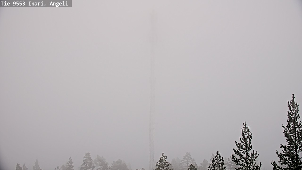 Weather Camera Image Road 9553 Inari, Angeli, Lintupuolivaara, Inari, Lappi