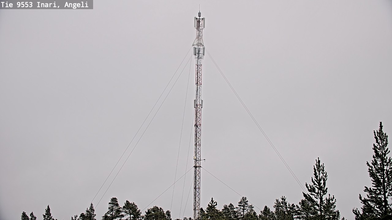 Weather Camera Image Road 9553 Inari, Angeli, Lintupuolivaara, Inari, Lappi