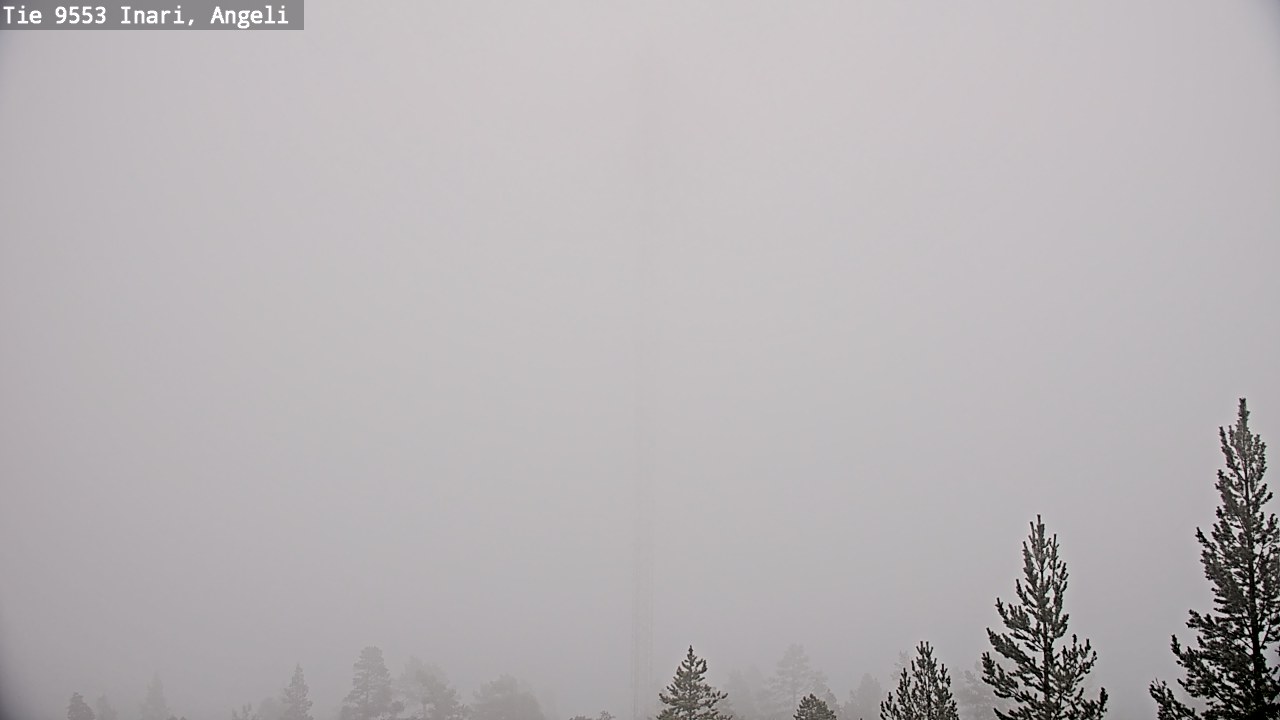 Weather Camera Image Road 9553 Inari, Angeli, Lintupuolivaara, Inari, Lappi