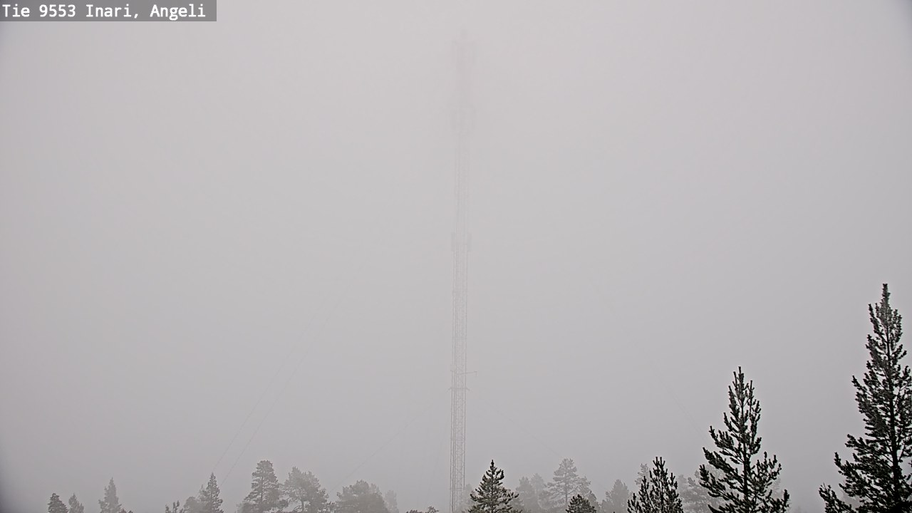 Weather Camera Image Road 9553 Inari, Angeli, Lintupuolivaara, Inari, Lappi