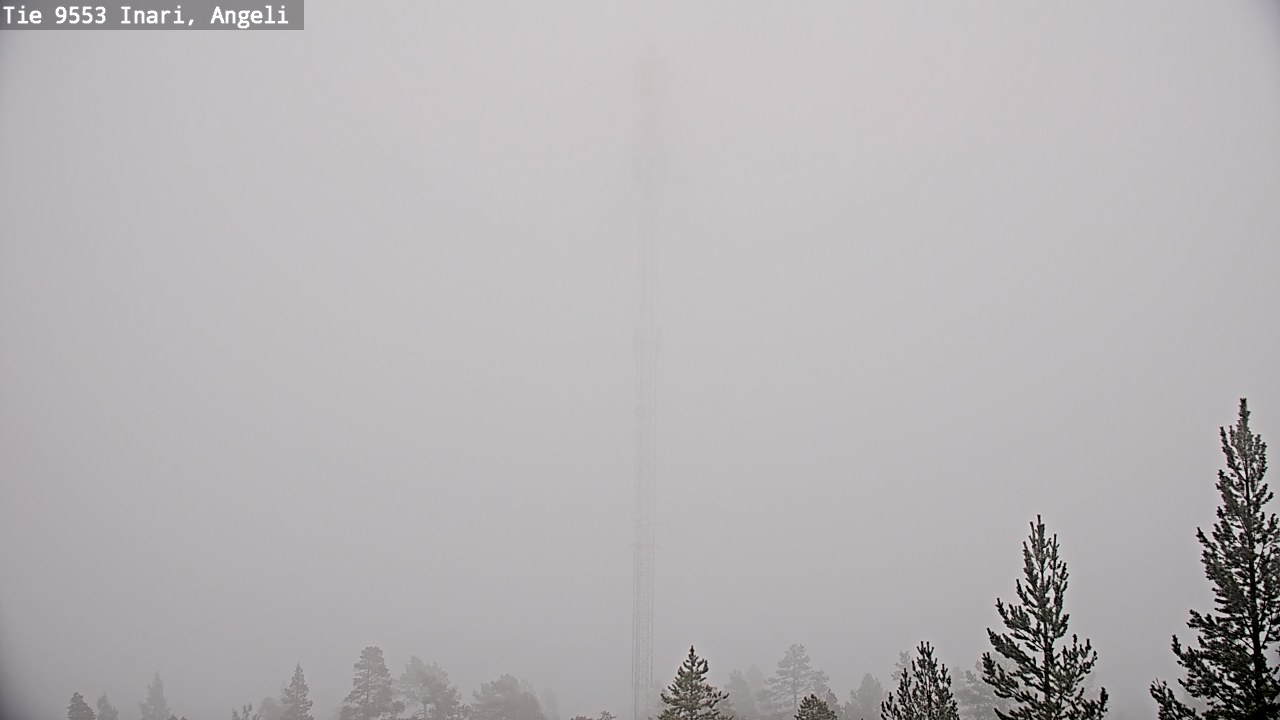 Weather Camera Image Road 9553 Inari, Angeli, Lintupuolivaara, Inari, Lappi