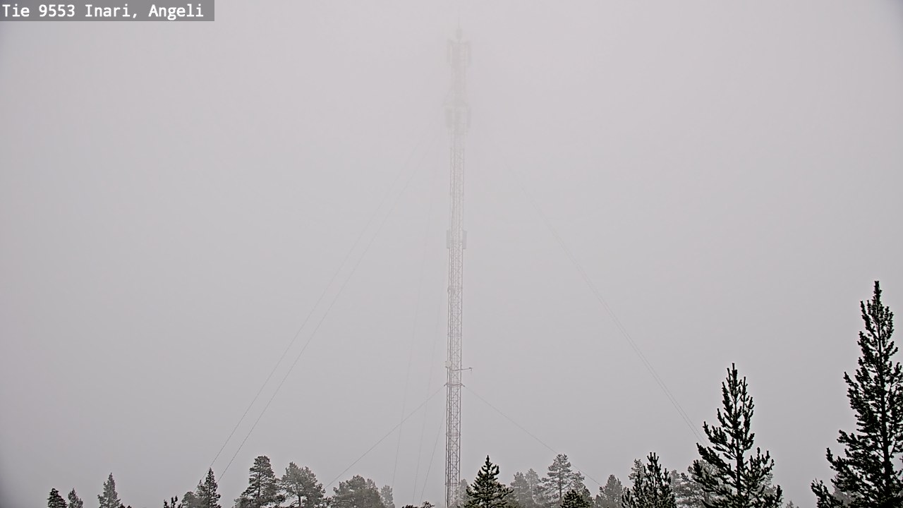 Weather Camera Image Road 9553 Inari, Angeli, Lintupuolivaara, Inari, Lappi