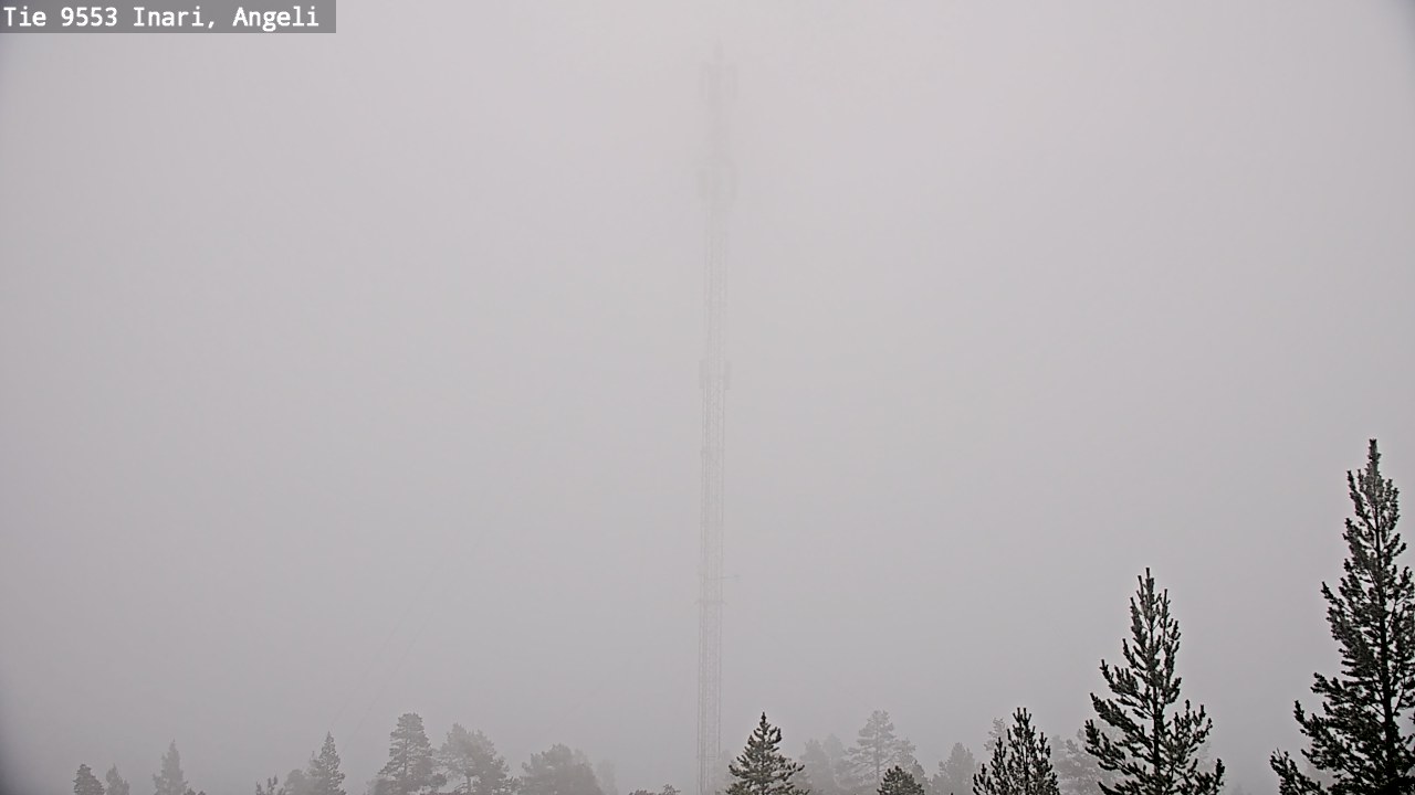 Weather Camera Image Road 9553 Inari, Angeli, Lintupuolivaara, Inari, Lappi