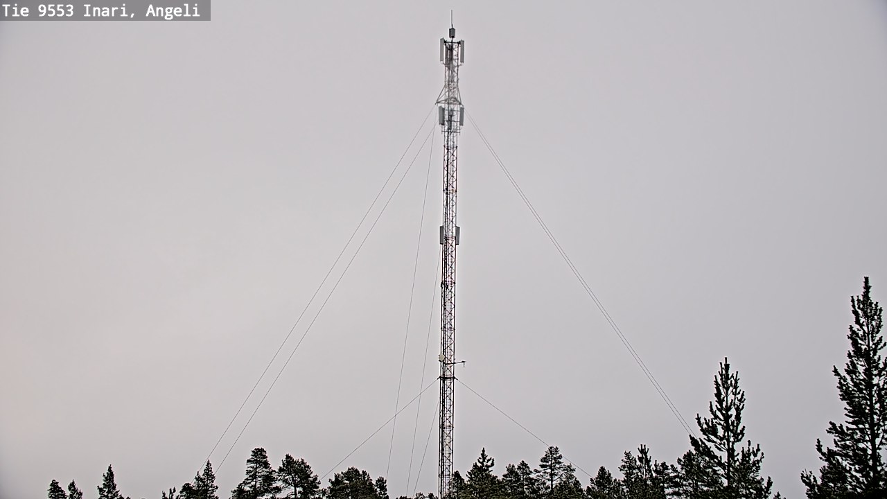 Weather Camera Image Road 9553 Inari, Angeli, Lintupuolivaara, Inari, Lappi