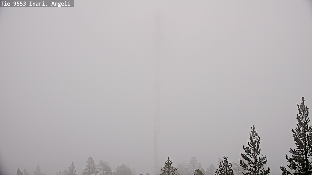 Weather Camera Image Road 9553 Inari, Angeli, Lintupuolivaara, Inari, Lappi