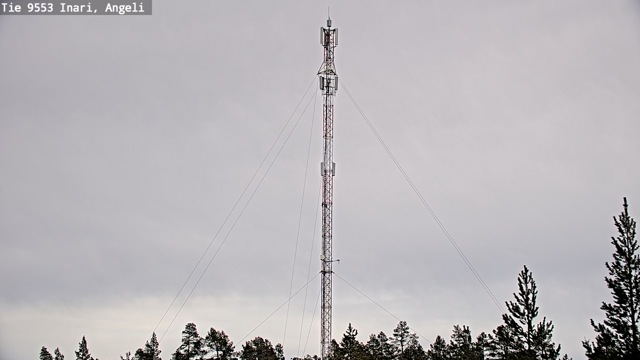 Weather Camera Image Road 9553 Inari, Angeli, Lintupuolivaara, Inari, Lappi