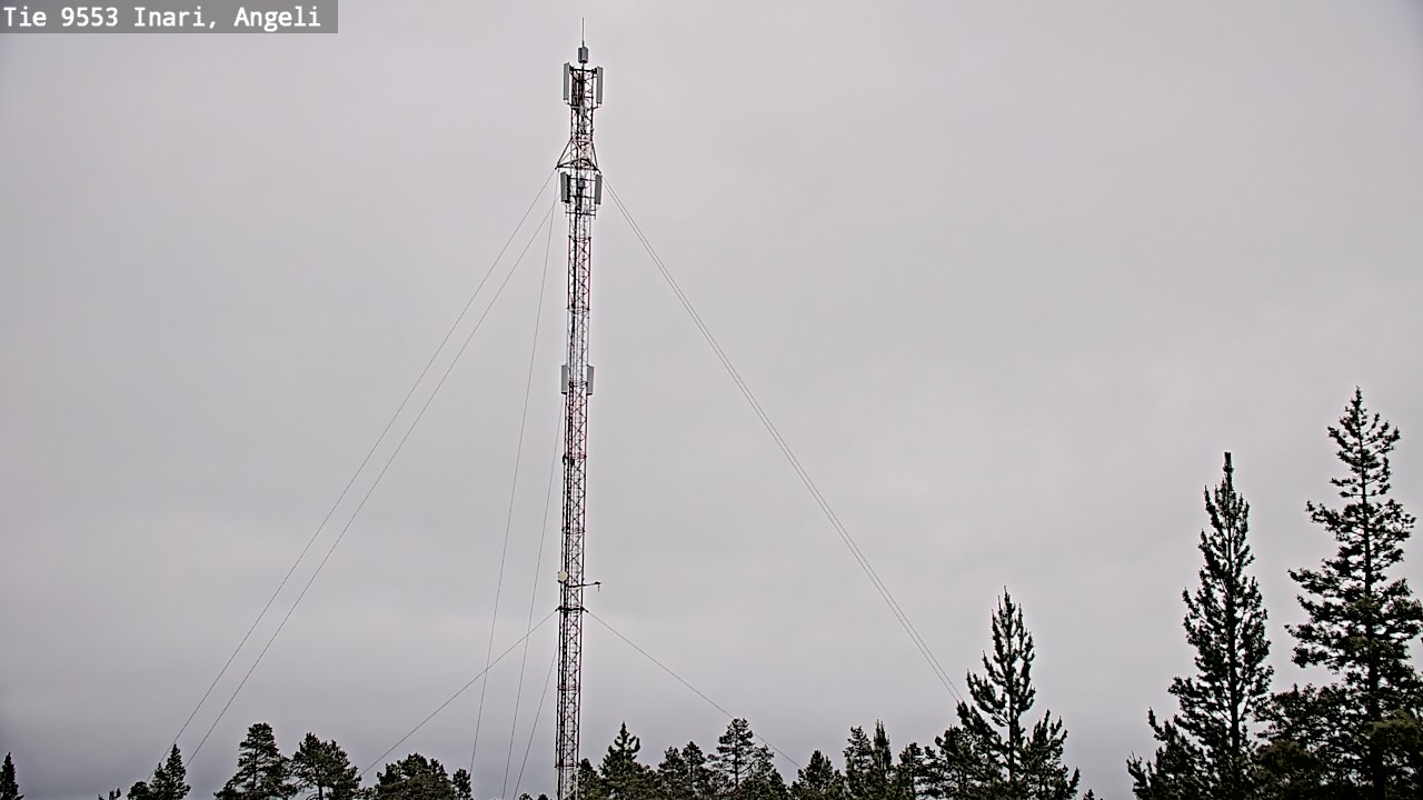 Weather Camera Image Road 9553 Inari, Angeli, Lintupuolivaara, Inari, Lappi