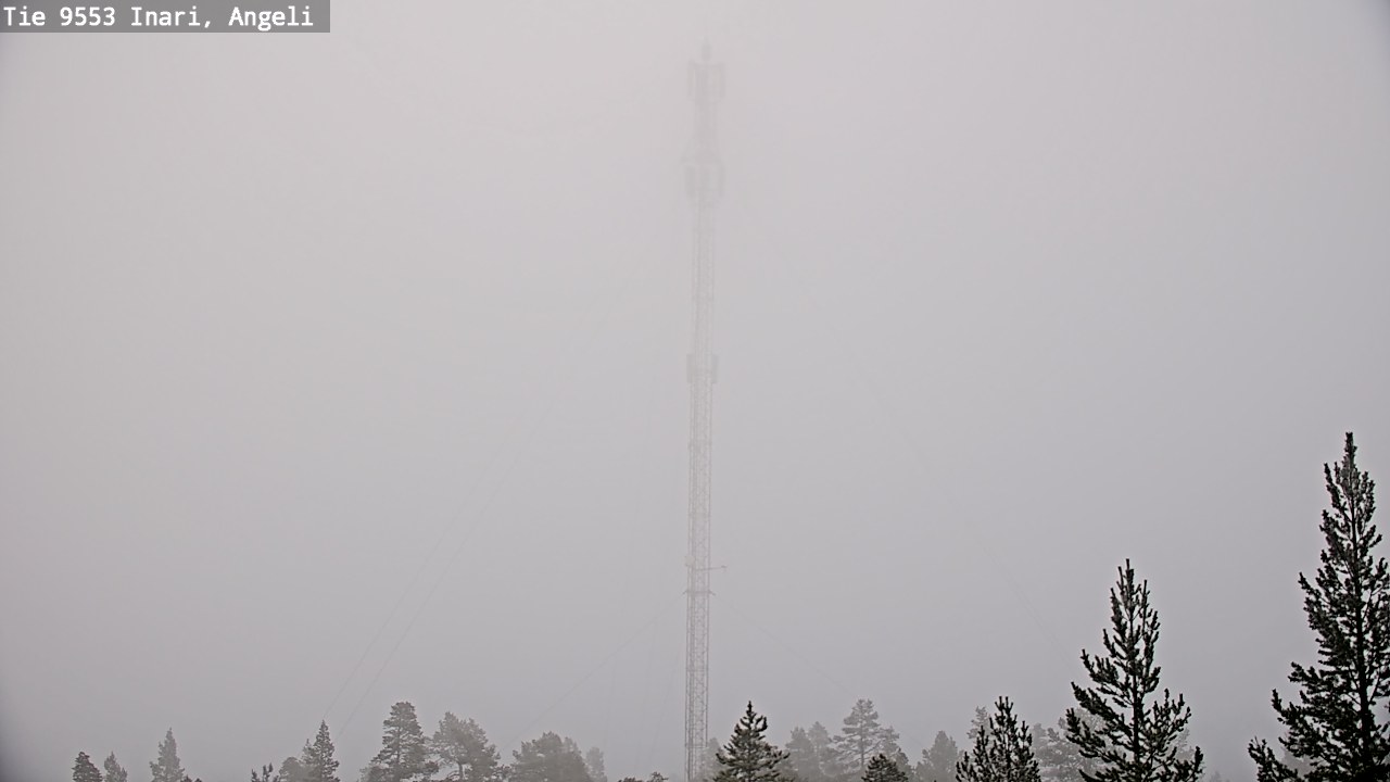 Weather Camera Image Road 9553 Inari, Angeli, Lintupuolivaara, Inari, Lappi