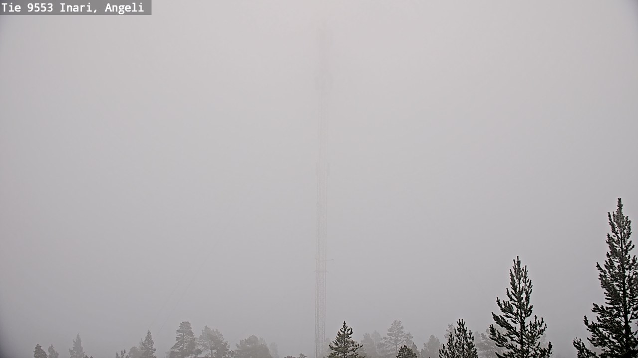 Weather Camera Image Road 9553 Inari, Angeli, Lintupuolivaara, Inari, Lappi