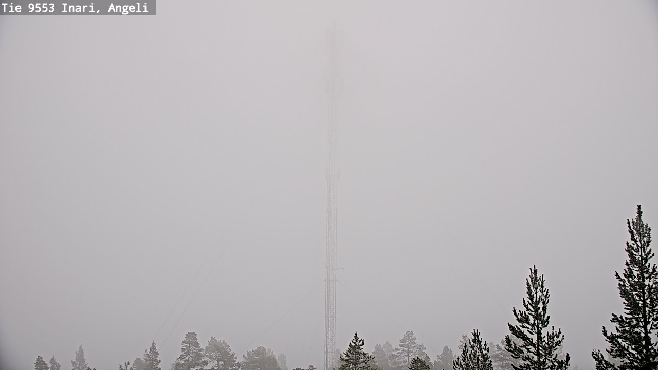 Weather Camera Image Road 9553 Inari, Angeli, Lintupuolivaara, Inari, Lappi