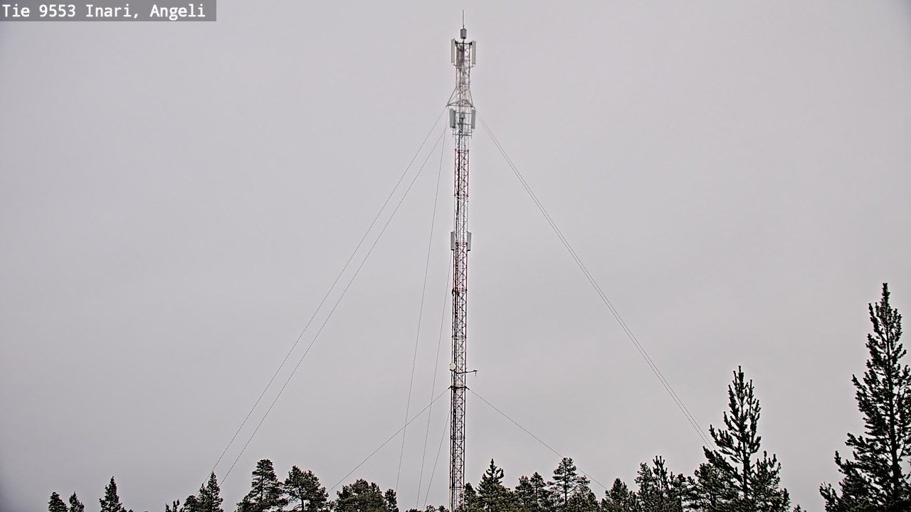 Weather Camera Image Road 9553 Inari, Angeli, Lintupuolivaara, Inari, Lappi