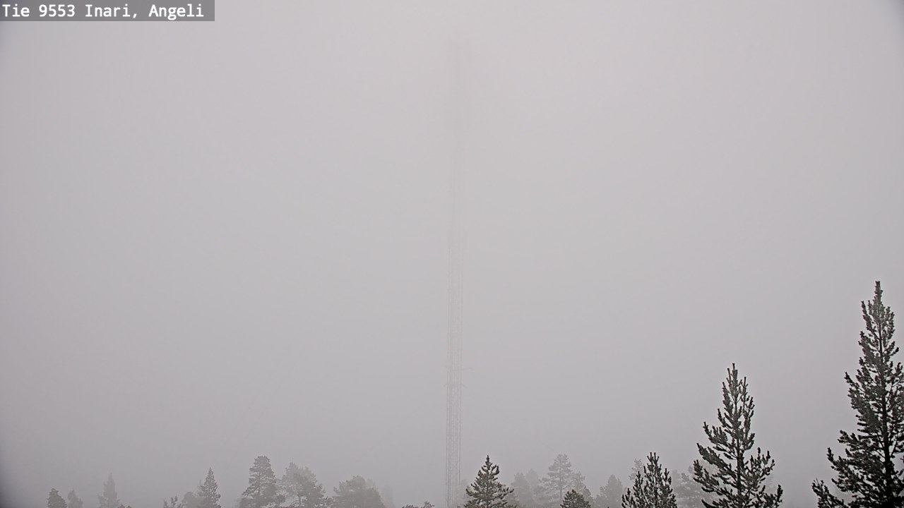Weather Camera Image Road 9553 Inari, Angeli, Lintupuolivaara, Inari, Lappi
