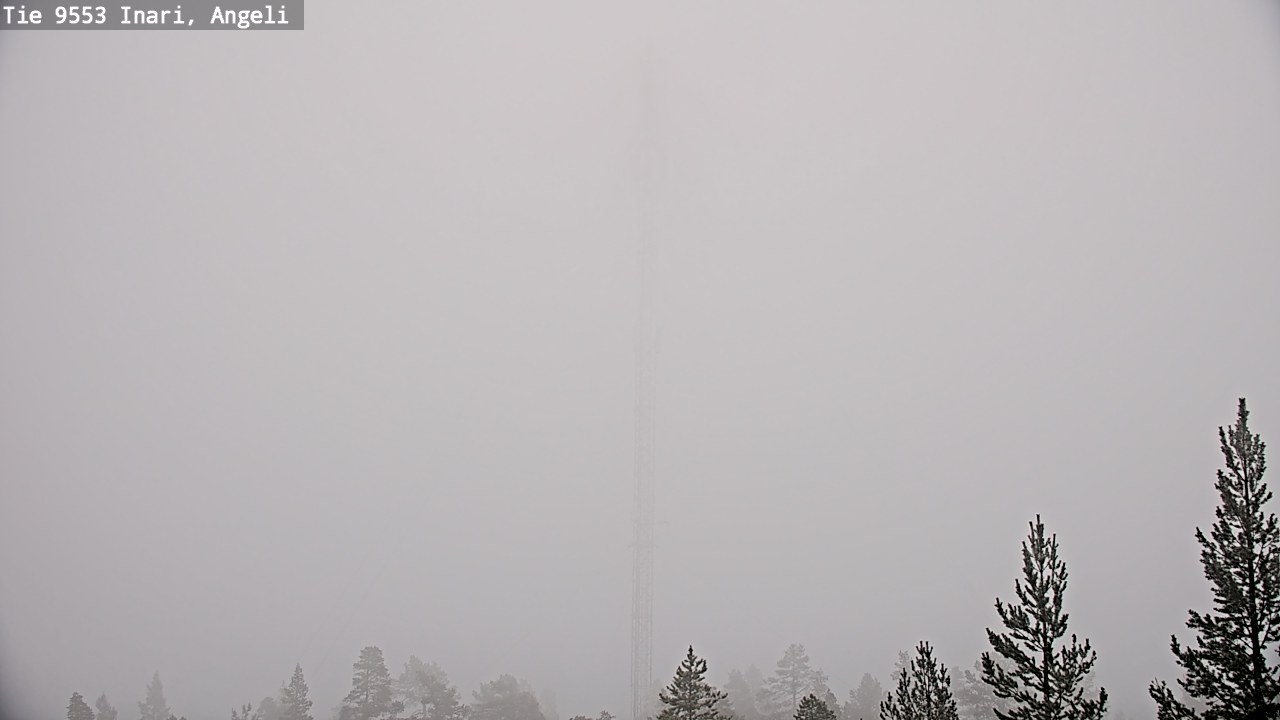 Weather Camera Image Road 9553 Inari, Angeli, Lintupuolivaara, Inari, Lappi
