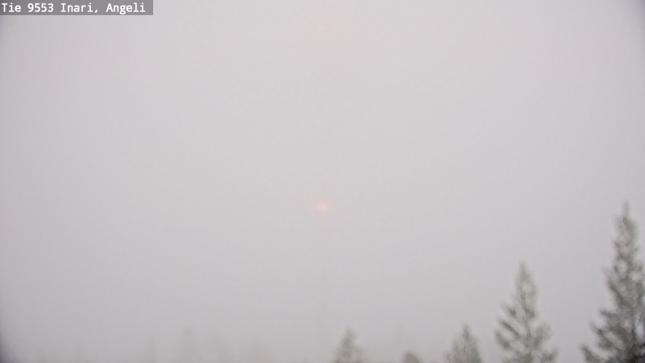 Kelikamerat Kuva Tie 9553 Inari, Angeli, Lintupuolivaara, Inari, Lappi