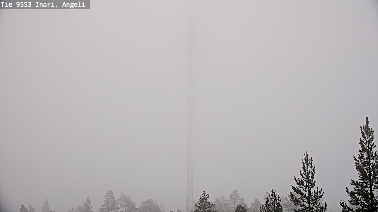 Weather Camera Image Road 9553 Inari, Angeli, Lintupuolivaara, Inari, Lappi