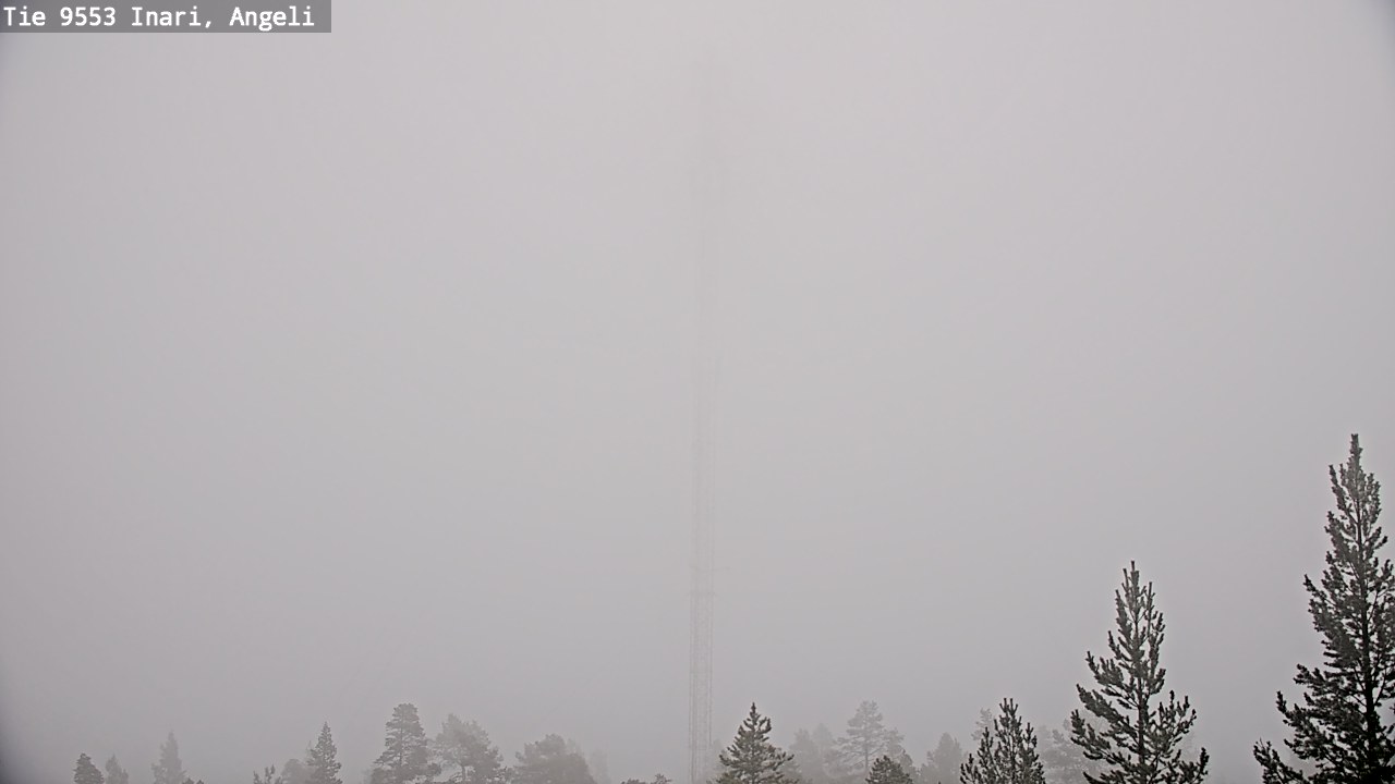 Weather Camera Image Road 9553 Inari, Angeli, Lintupuolivaara, Inari, Lappi