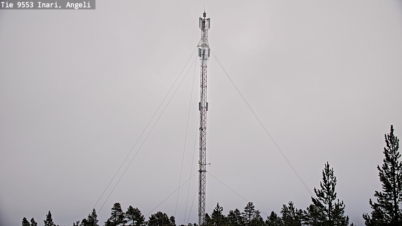 Weather Camera Image Road 9553 Inari, Angeli, Lintupuolivaara, Inari, Lappi