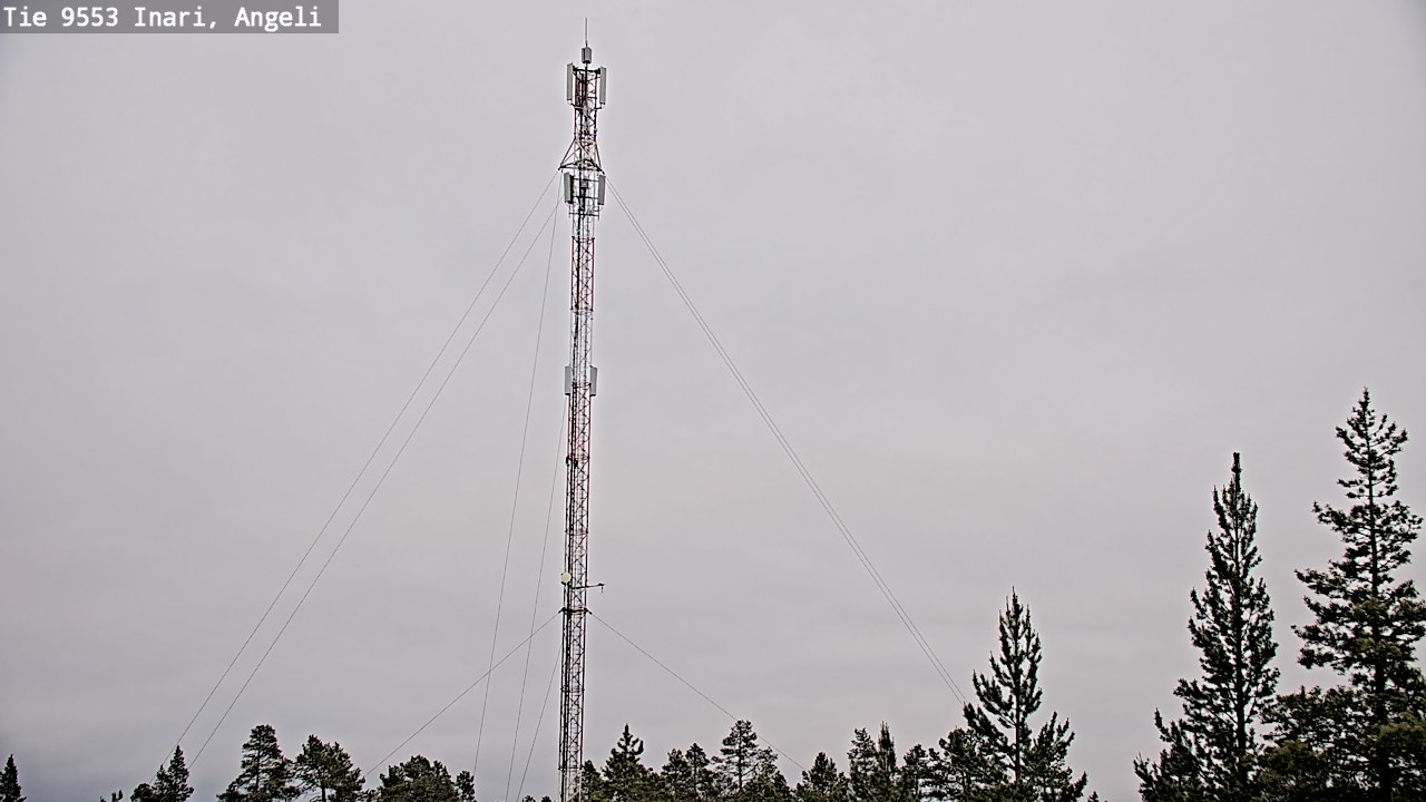Kelikamerat Kuva Tie 9553 Inari, Angeli, Lintupuolivaara, Inari, Lappi