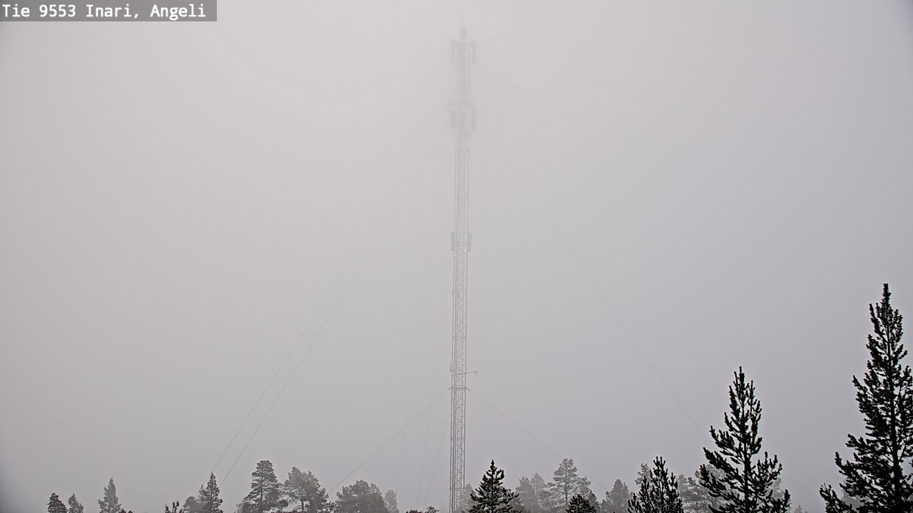 Weather Camera Image Road 9553 Inari, Angeli, Lintupuolivaara, Inari, Lappi