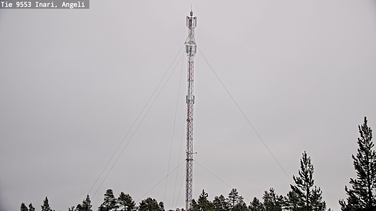 Weather Camera Image Road 9553 Inari, Angeli, Lintupuolivaara, Inari, Lappi