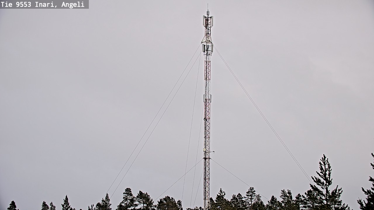 Weather Camera Image Road 9553 Inari, Angeli, Lintupuolivaara, Inari, Lappi